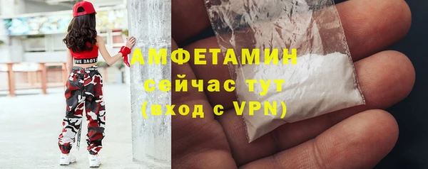 хмурый Аркадак