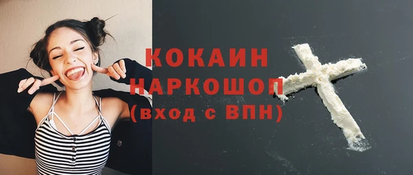 хмурый Аркадак