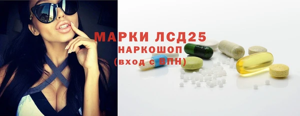 хмурый Аркадак