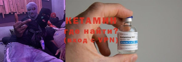 хмурый Аркадак