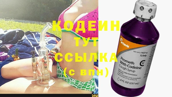 хмурый Аркадак