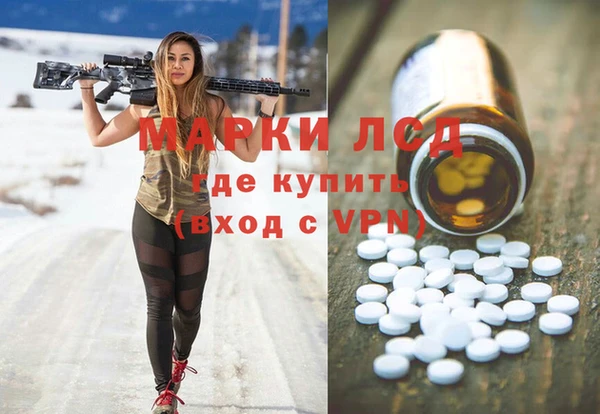 хмурый Аркадак