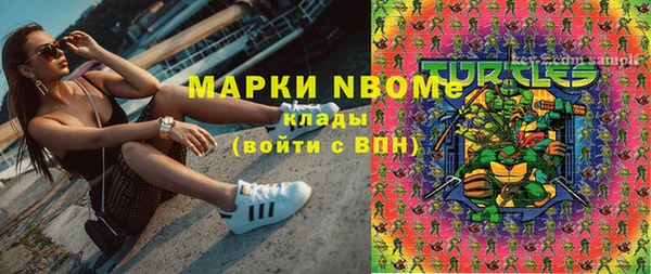 хмурый Аркадак