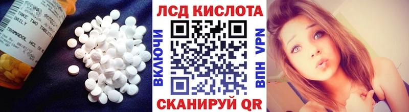 ОМГ ОМГ онион  Холмск  LSD-25 экстази кислота  купить закладку 