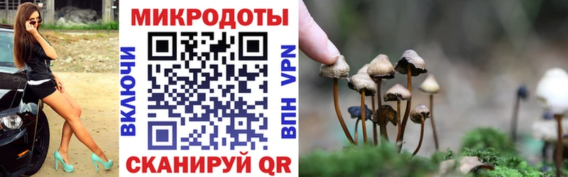 купить наркотик  Холмск  Галлюциногенные грибы мицелий 